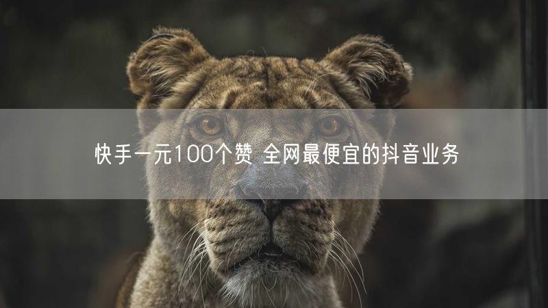 快手一元100个赞 全网最便宜的抖音业务