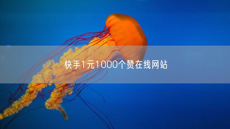 快手1元1000个赞在线网站