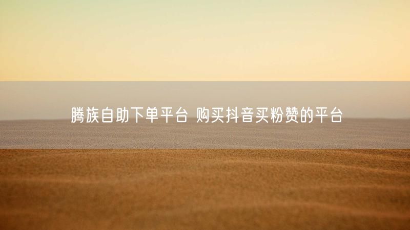 腾族自助下单平台 购买抖音买粉赞的平台
