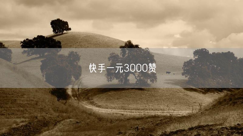 快手一元3000赞