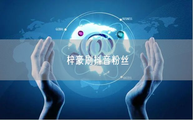 梓豪刷抖音粉丝