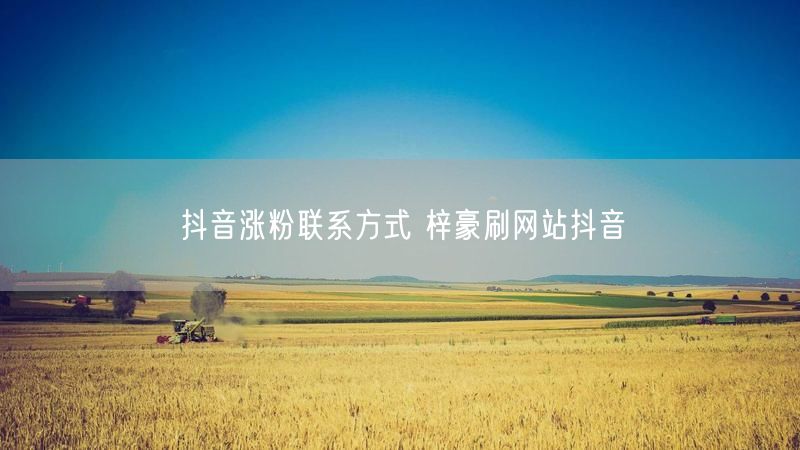 抖音涨粉联系方式 梓豪刷网站抖音