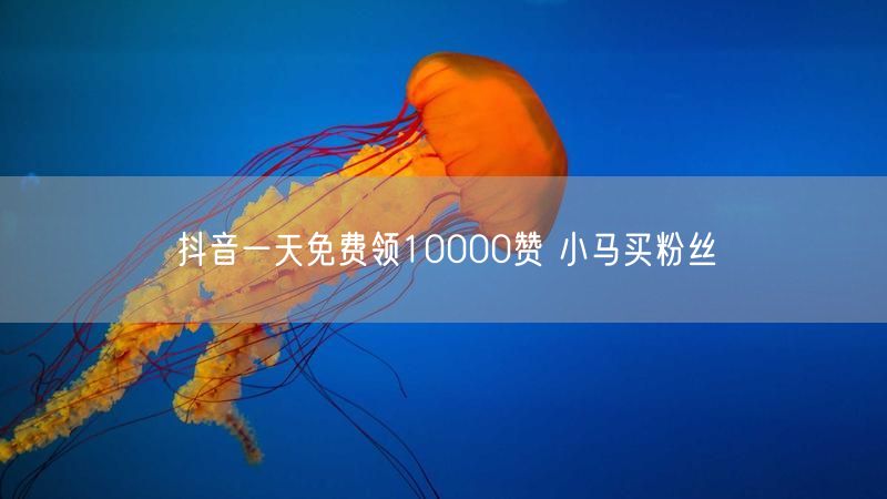 抖音一天免费领10000赞 小马买粉丝