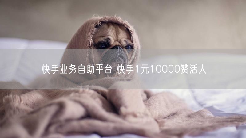 快手业务自助平台 快手1元10000赞活人