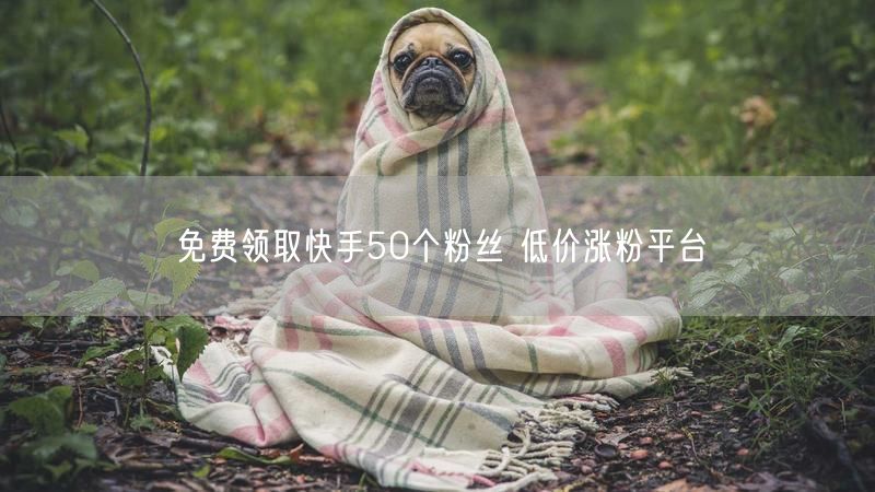 免费领取快手50个粉丝 低价涨粉平台
