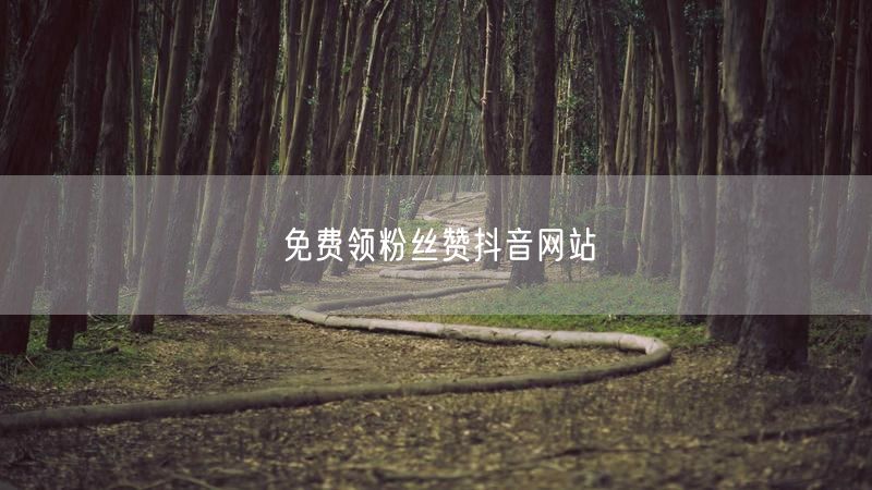 免费领粉丝赞抖音网站