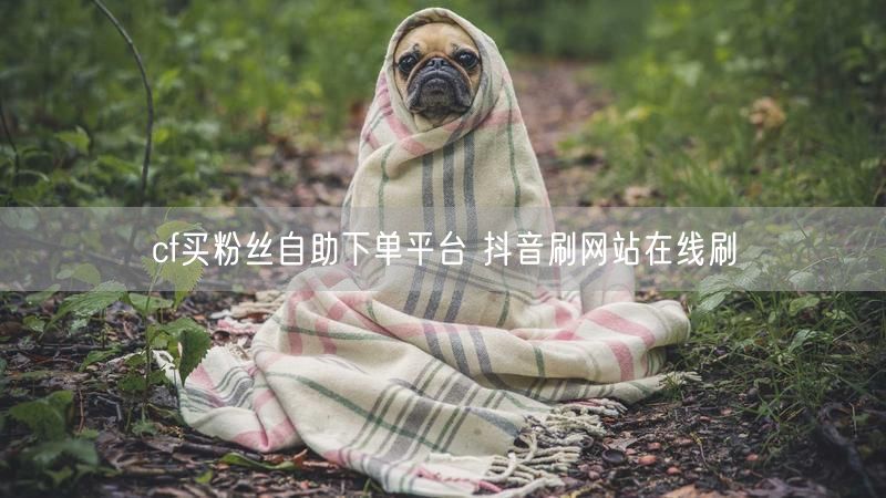 cf买粉丝自助下单平台 抖音刷网站在线刷