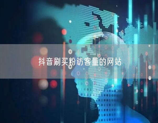 抖音刷买粉访客量的网站