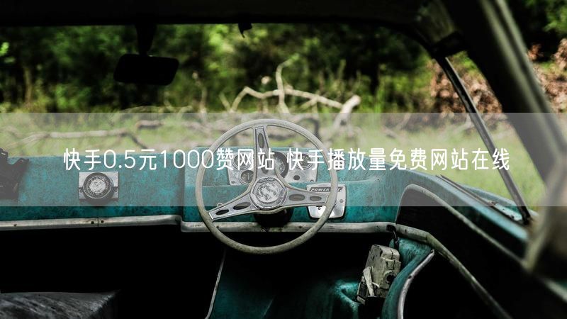 快手0.5元1000赞网站 快手播放量免费网站在线