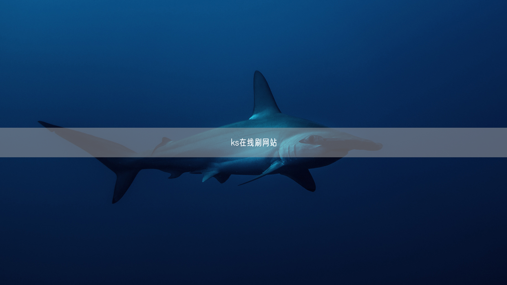 ks在线刷网站
