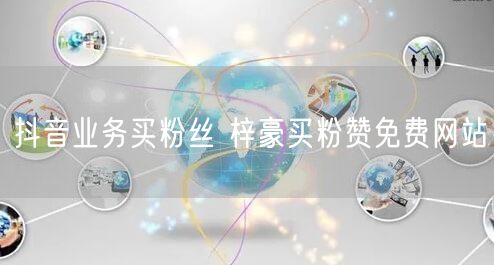 抖音业务买粉丝 梓豪买粉赞免费网站