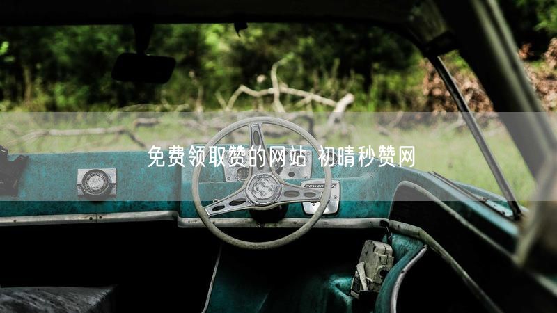 免费领取赞的网站 初晴秒赞网
