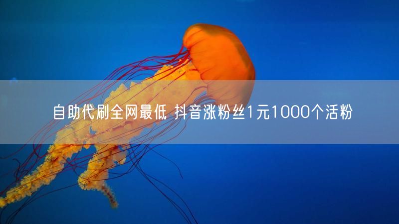 自助代刷全网最低 抖音涨粉丝1元1000个活粉
