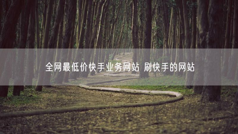 全网最低价快手业务网站 刷快手的网站