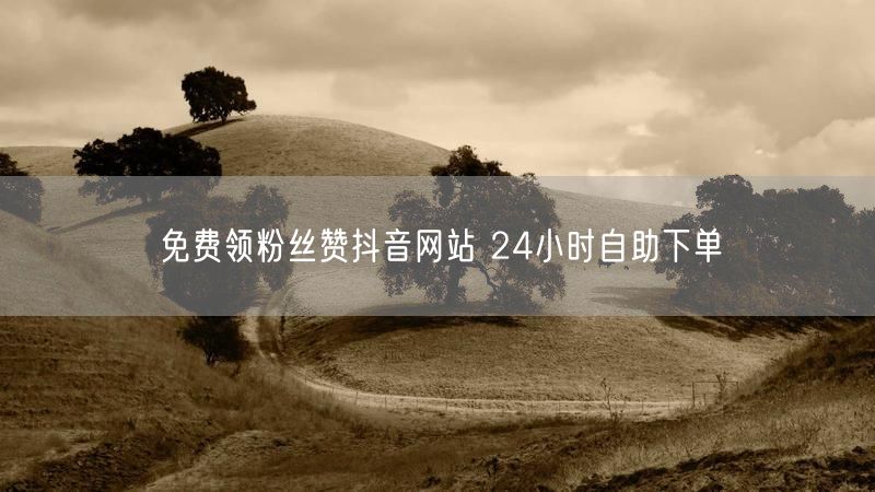 免费领粉丝赞抖音网站 24小时自助下单