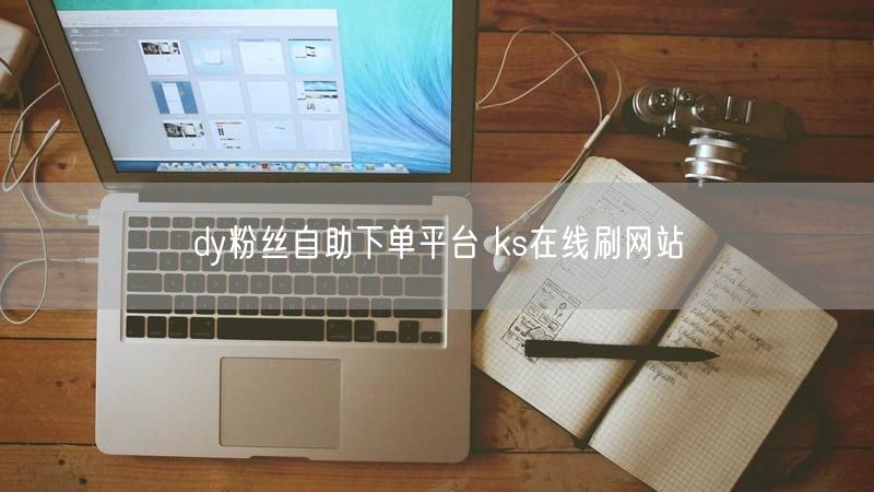 dy粉丝自助下单平台 ks在线刷网站