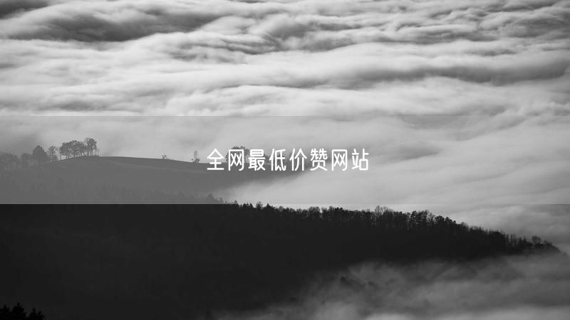 全网最低价赞网站