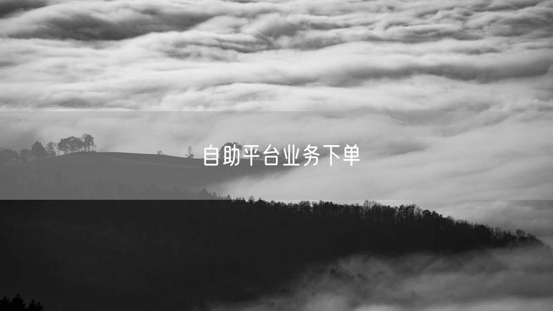 自助平台业务下单