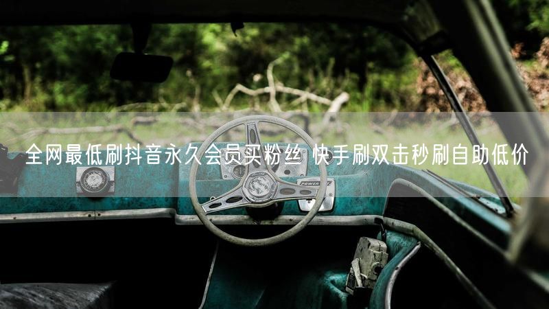 全网最低刷抖音永久会员买粉丝 快手刷双击秒刷自助低价