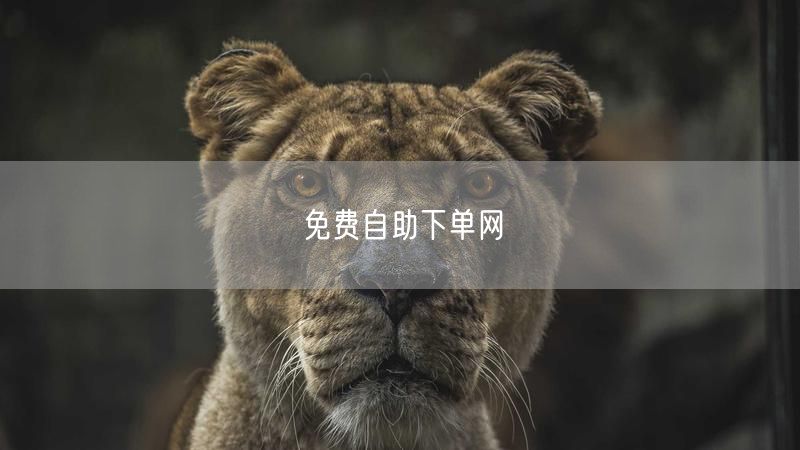 免费自助下单网
