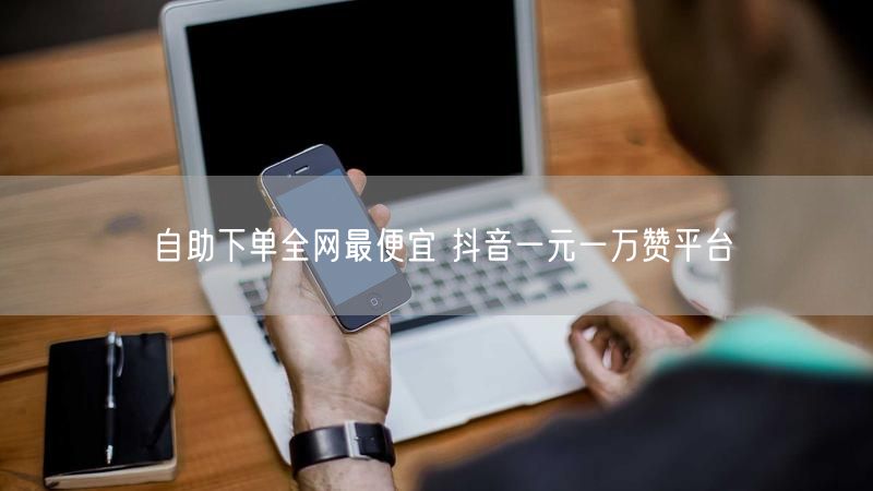自助下单全网最便宜 抖音一元一万赞平台