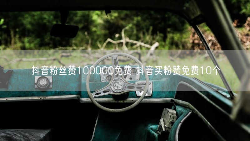 抖音粉丝赞100000免费 抖音买粉赞免费10个