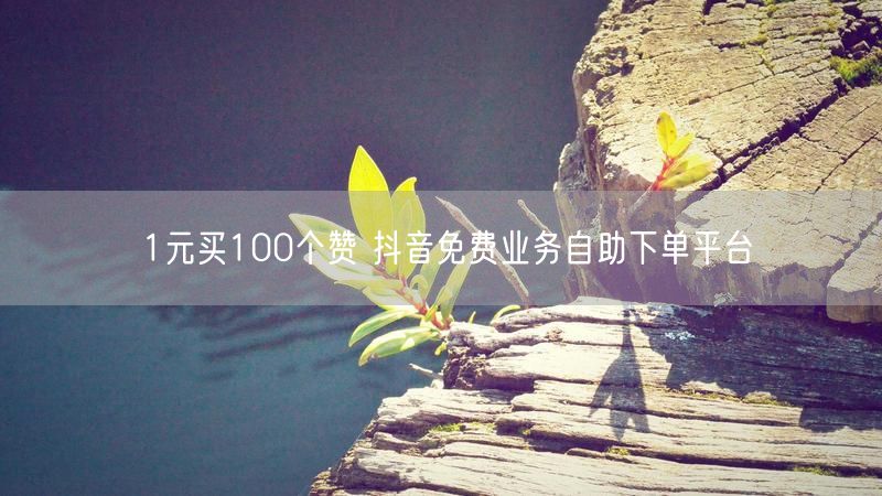 1元买100个赞 抖音免费业务自助下单平台