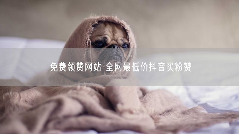 免费领赞网站 全网最低价抖音买粉赞