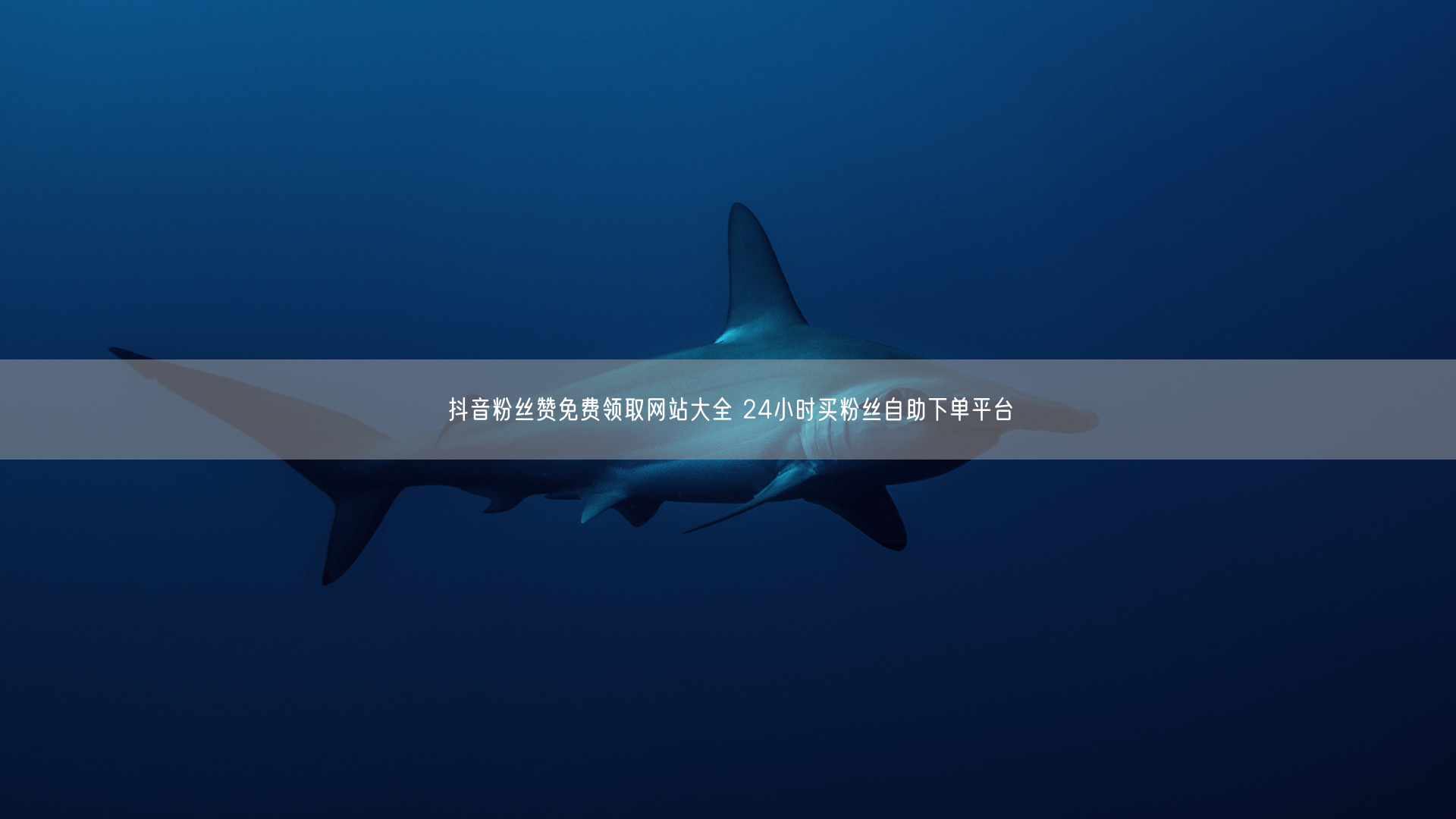 抖音粉丝赞免费领取网站大全 24小时买粉丝自助下单平台