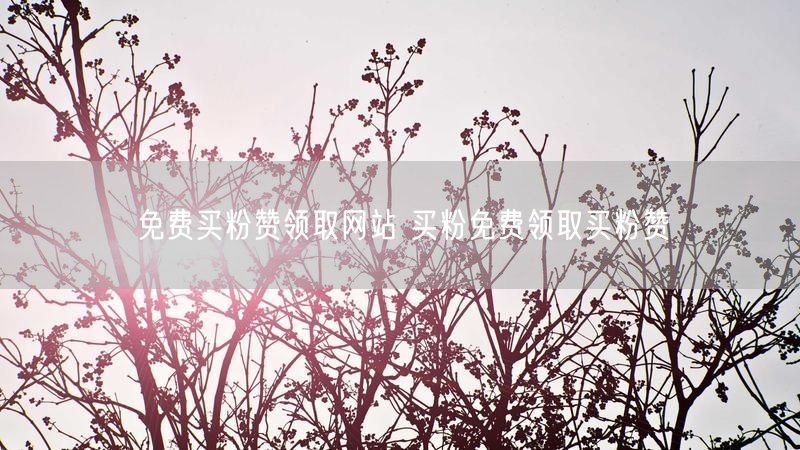 免费买粉赞领取网站 买粉免费领取买粉赞