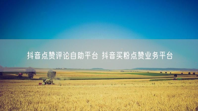 抖音点赞评论自助平台 抖音买粉点赞业务平台