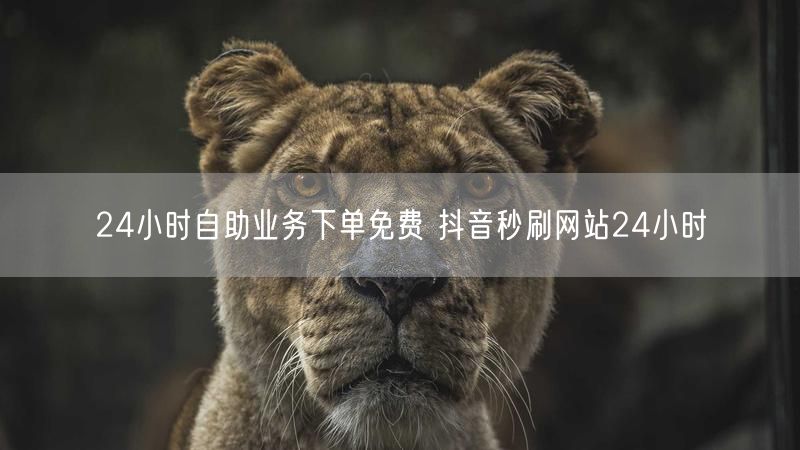 24小时自助业务下单免费 抖音秒刷网站24小时