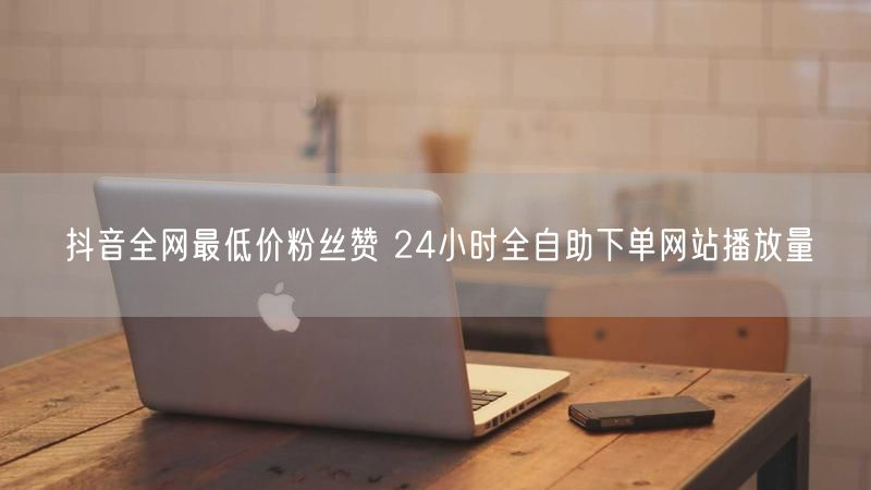 抖音全网最低价粉丝赞 24小时全自助下单网站播放量