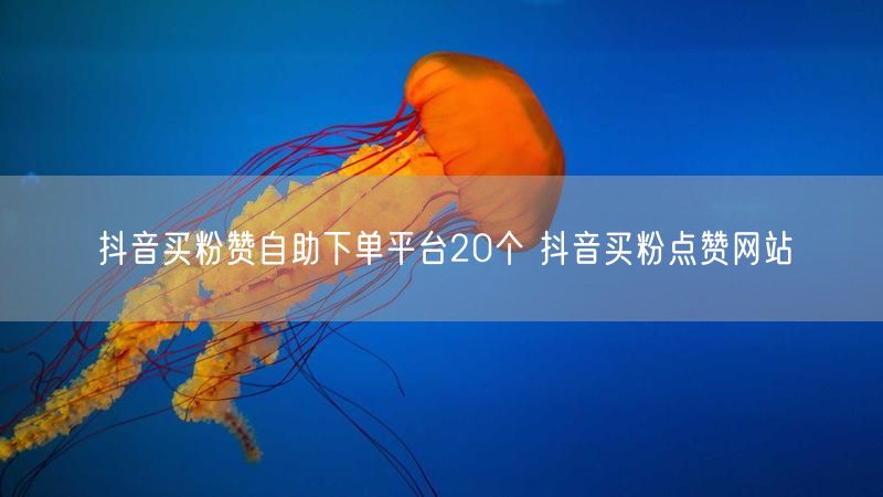 抖音买粉赞自助下单平台20个 抖音买粉点赞网站