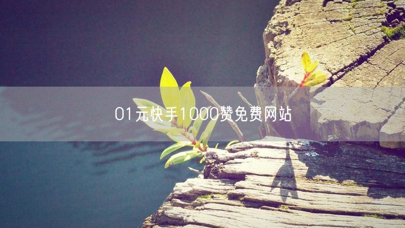 01元快手1000赞免费网站