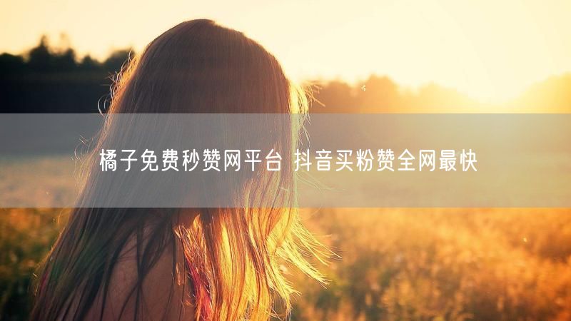 橘子免费秒赞网平台 抖音买粉赞全网最快