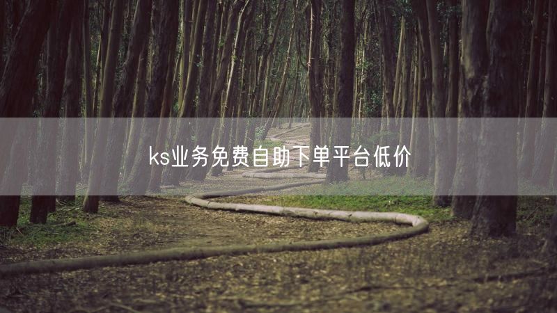 ks业务免费自助下单平台低价