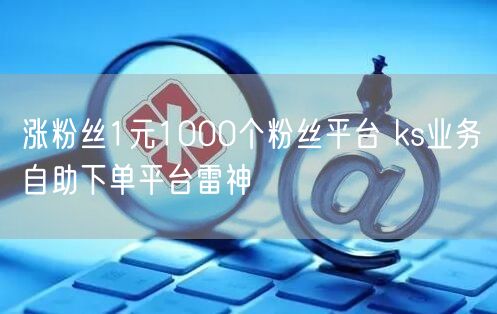 涨粉丝1元1000个粉丝平台 ks业务自助下单平台雷神