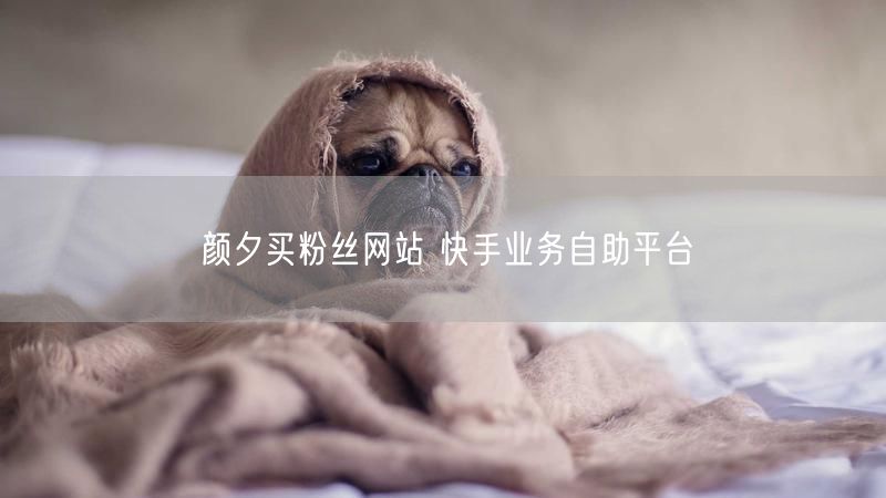 颜夕买粉丝网站 快手业务自助平台