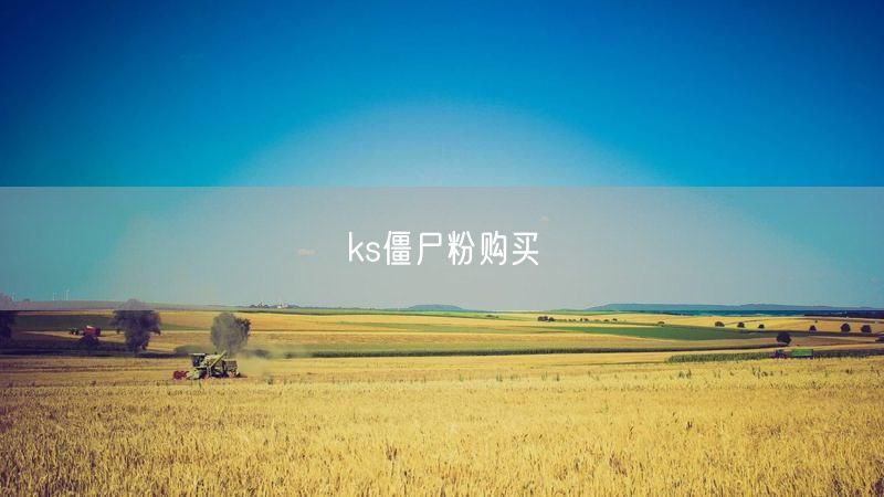 ks僵尸粉购买