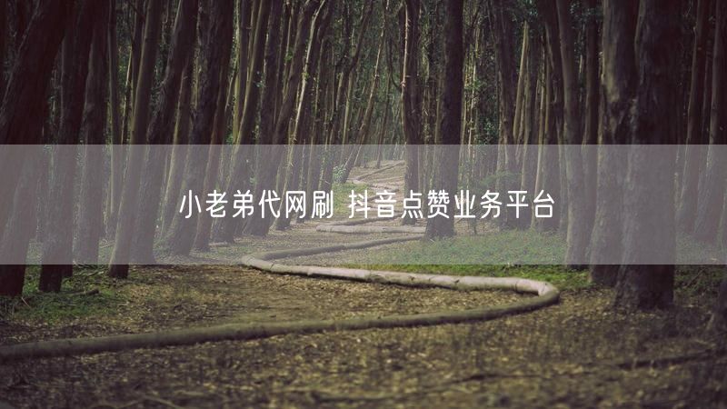 小老弟代网刷 抖音点赞业务平台