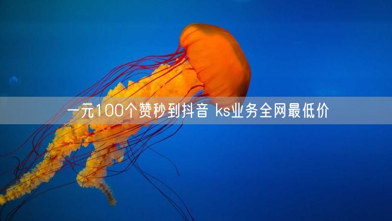 一元100个赞秒到抖音 ks业务全网最低价
