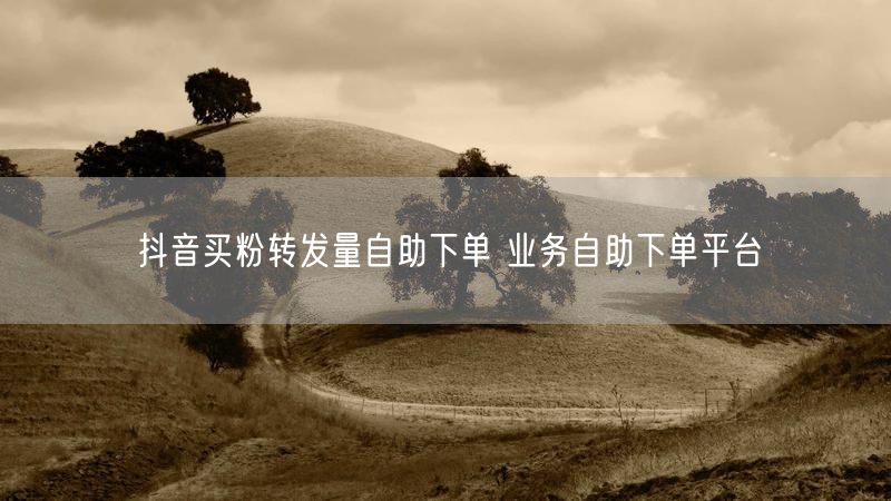 抖音买粉转发量自助下单 业务自助下单平台