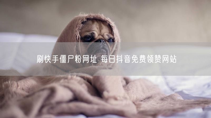 刷快手僵尸粉网址 每日抖音免费领赞网站