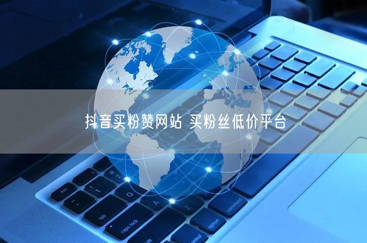 抖音买粉赞网站 买粉丝低价平台