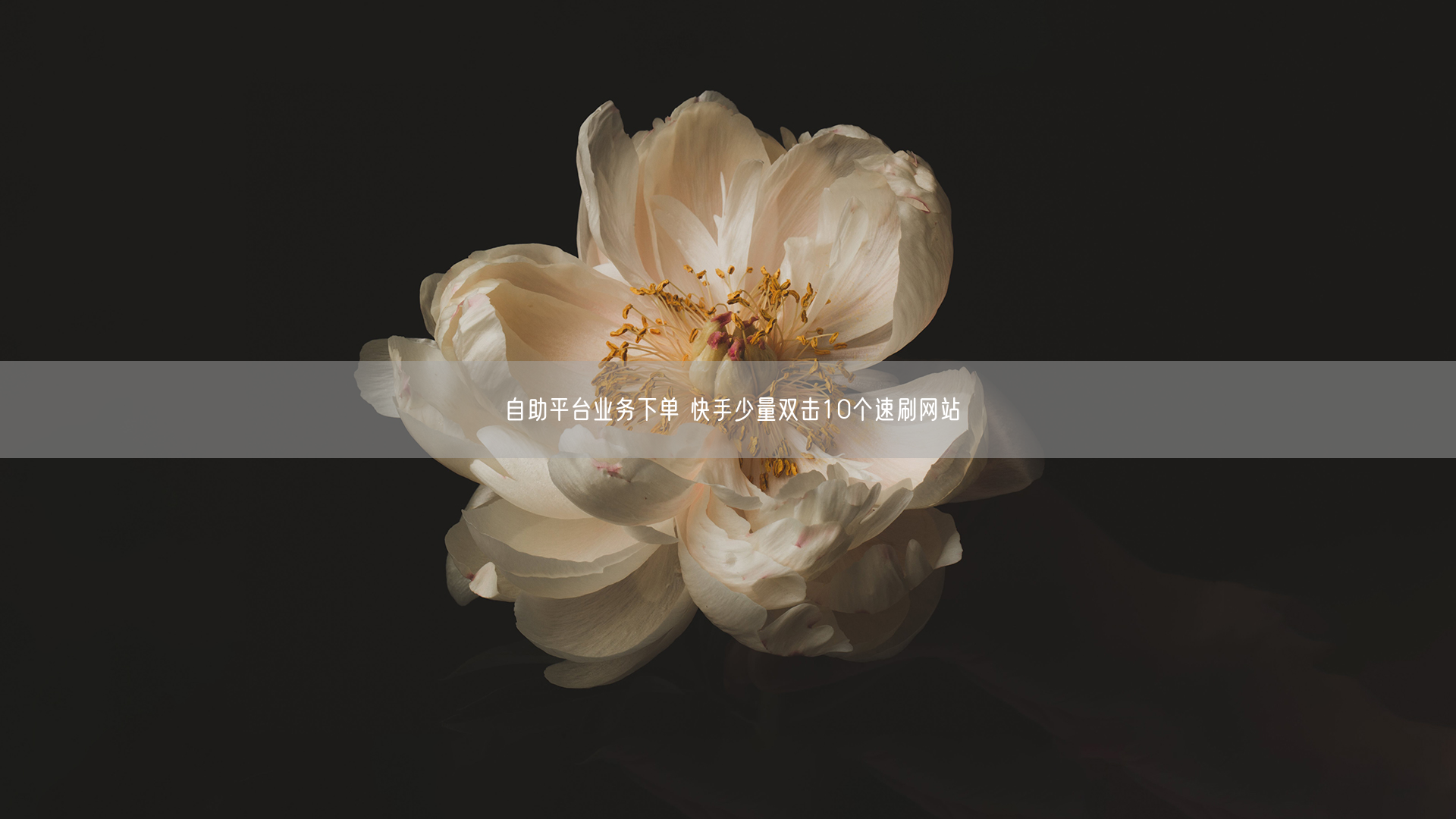 自助平台业务下单 快手少量双击10个速刷网站