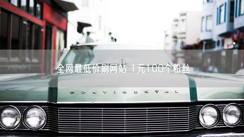 全网最低价刷网站 1元100个粉丝