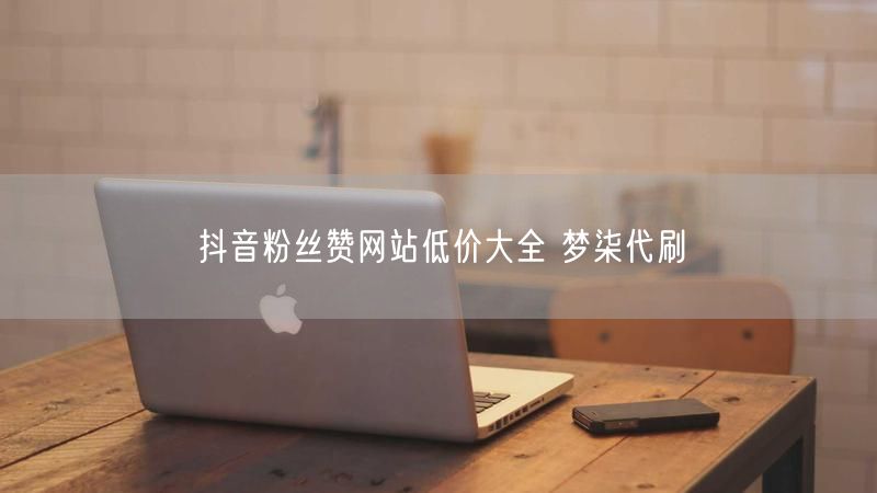 抖音粉丝赞网站低价大全 梦柒代刷