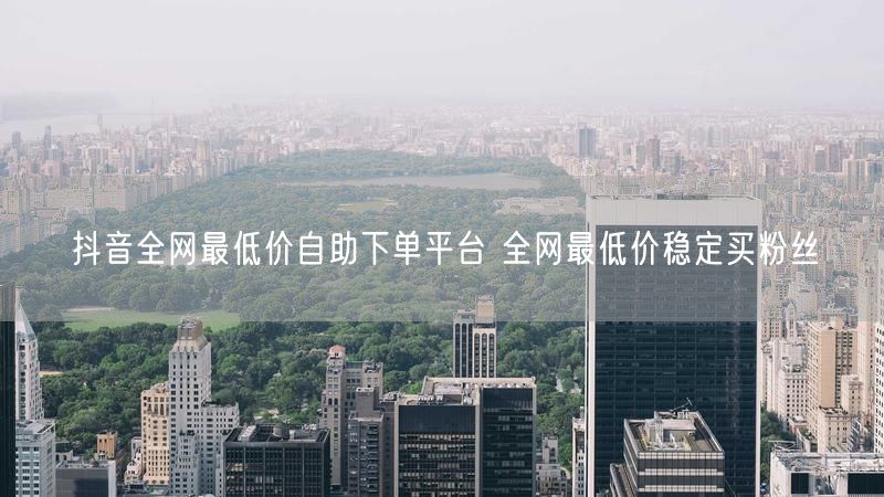 抖音全网最低价自助下单平台 全网最低价稳定买粉丝