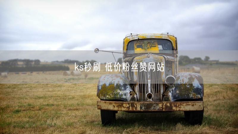 ks秒刷 低价粉丝赞网站